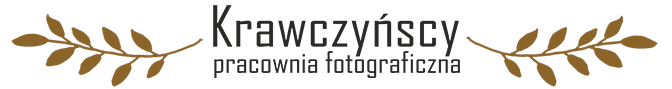 Logo for Fotograf ślubny poznań